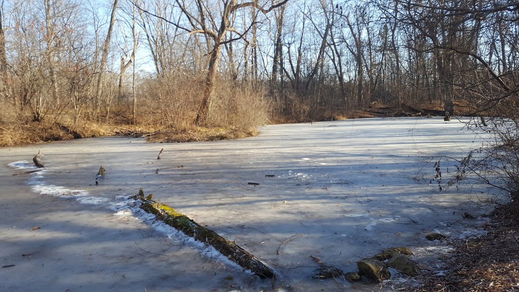 Malcolmson Eco Park | 325 Lakeshore Rd, St. Catharines, ON L2M 7Z3, Canada