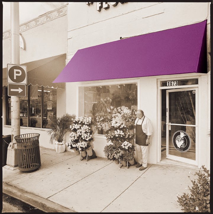 Magenta Insurance Professionals | 1555 Glenora Dr Suite 202, London, ON N5X 1V7, Canada | Phone: (800) 489-7889