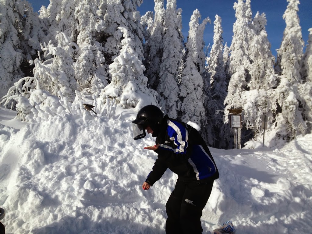 Sport & Marine M V Inc | 1108 Rue Principale, Saint-Donat-de-Montcalm, QC J0T 2C0, Canada | Phone: (819) 424-3433