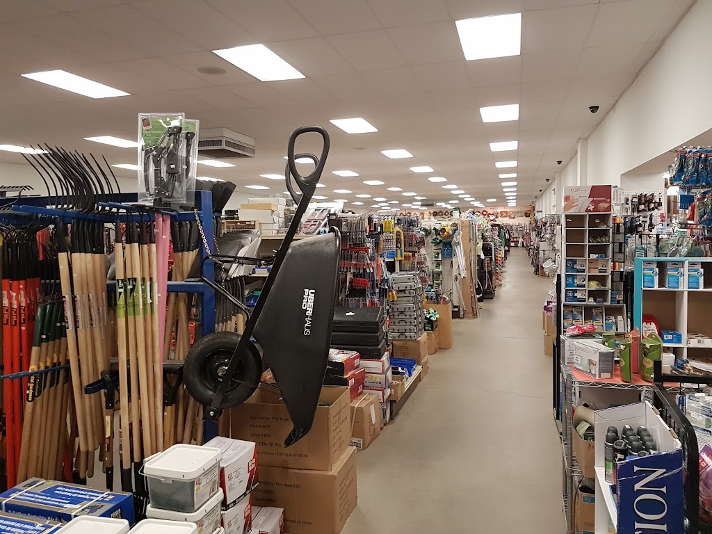 Bargain Harleys | 182 Commercial St, Berwick, NS B0P 1E0, Canada | Phone: (902) 538-7718