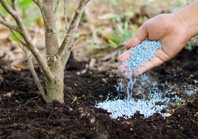 Dartmouth Landscaping Localturf | 9 Roblea Dr, Dartmouth, NS B2W 1Y6, Canada | Phone: (902) 702-3092