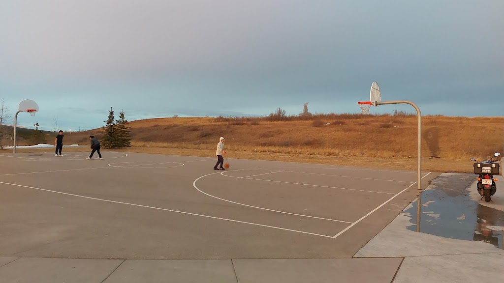 Royal Oak Rocky Ridge Skatepark | SB @ Rocky Ridge Recreation Centre, Calgary, AB T3G 5W6, Canada | Phone: (403) 351-6673