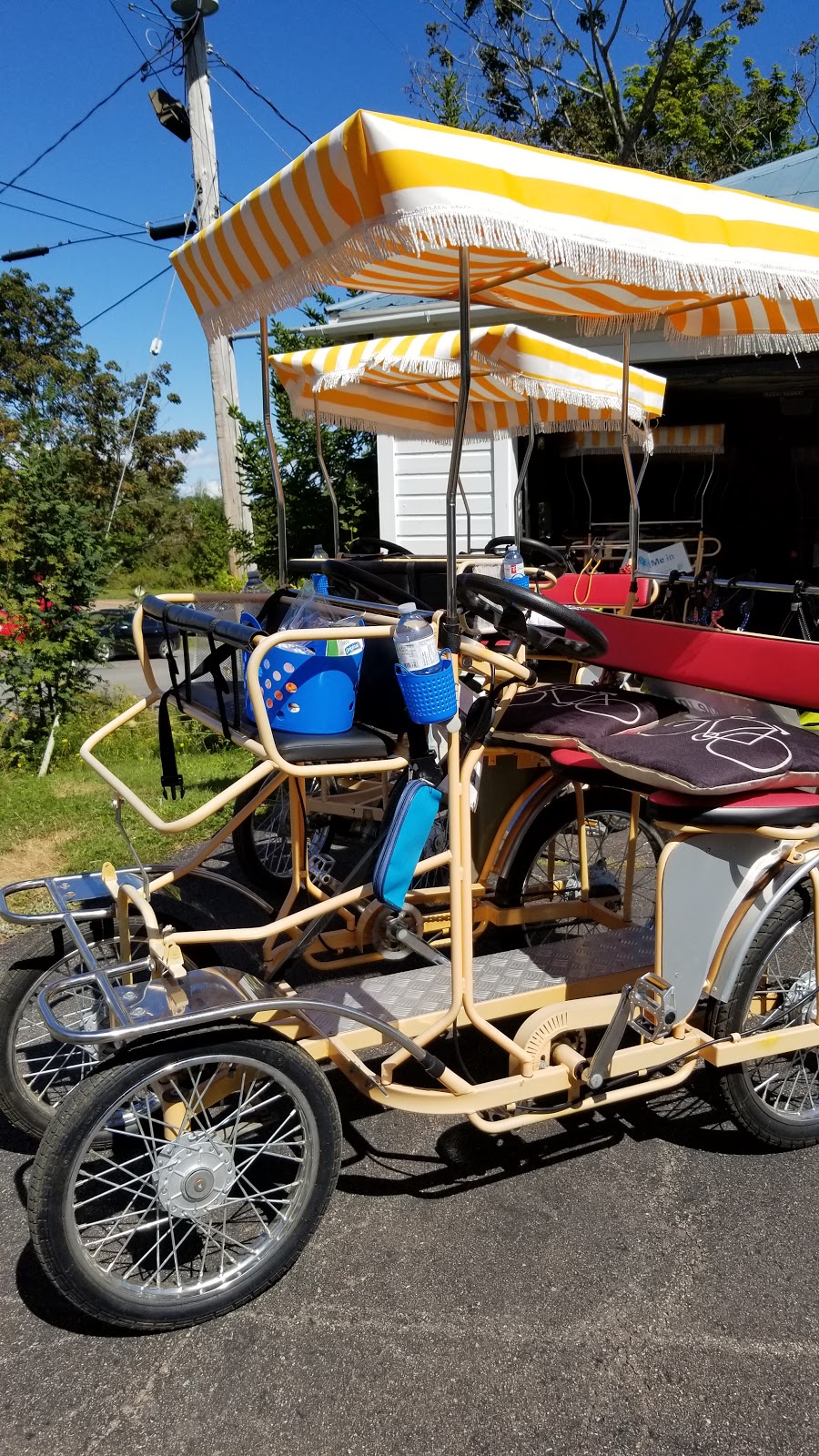 Remember Adventures | 365 Main St, Tatamagouche, NS B0K 1V0, Canada | Phone: (902) 293-1533