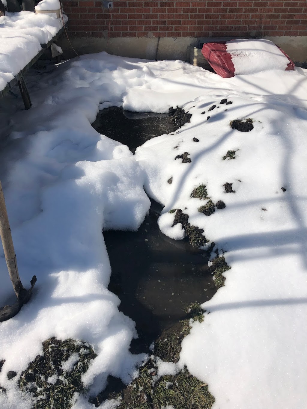 Strongs Septic Service Inc | 24 Gray Ave, Alliston, ON L9R 1M9, Canada | Phone: (705) 434-8343