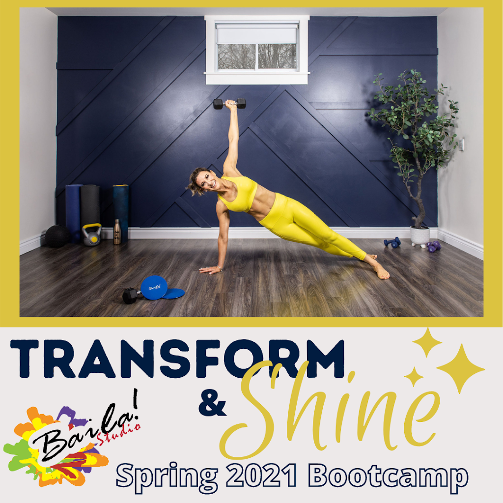 Baila Fitness Studio - Lesley Levinski | 91 Deep River Rd, Deep River, ON K0J 1P0, Canada | Phone: (613) 635-1605