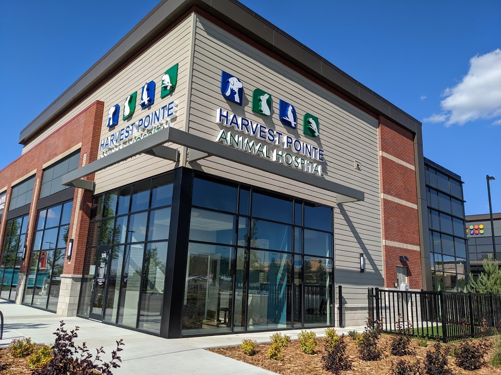 Harvest Pointe Animal Hospital | 5255 Ellerslie Rd SW, Edmonton, AB T6X 1X2, Canada | Phone: (587) 735-6677