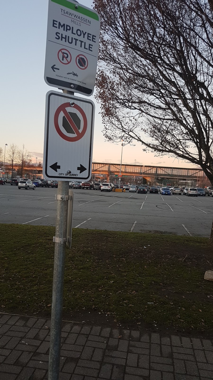 Tsawwassen Mills Employee Bus Stop (Surrey) | 12613 110 Ave #12545, Surrey, BC V3V 3J7, Canada | Phone: (604) 948-8238