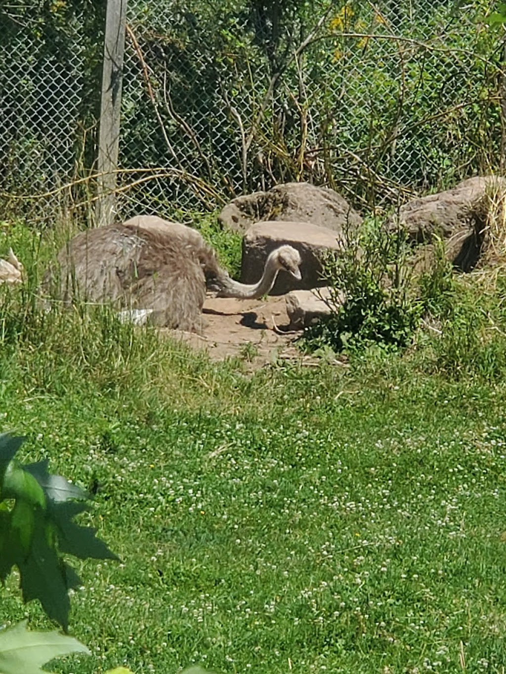 Moncton Zoo Playground & benches | Moncton, NB E1G 4V7, Canada | Phone: (506) 877-7720