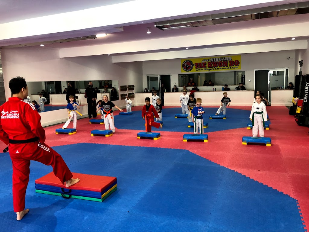 Niagara Taekwondo Niagara Falls | 7107 Kalar Rd Unit 6, Niagara Falls, ON L2H 3J6, Canada | Phone: (905) 380-6739