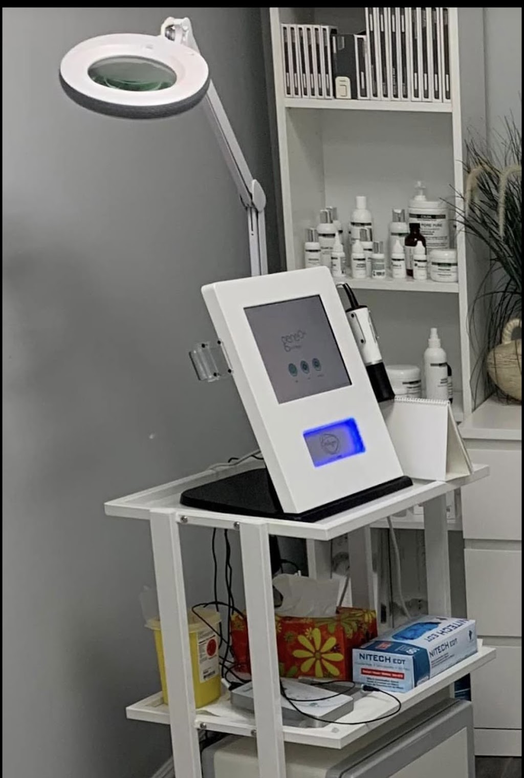Euro Skin Care and Laser Medical Aesthetics and Training Clinic | 125 Gailmont Dr, Hamilton, ON L8K 4B8, Canada | Phone: (289) 246-9290