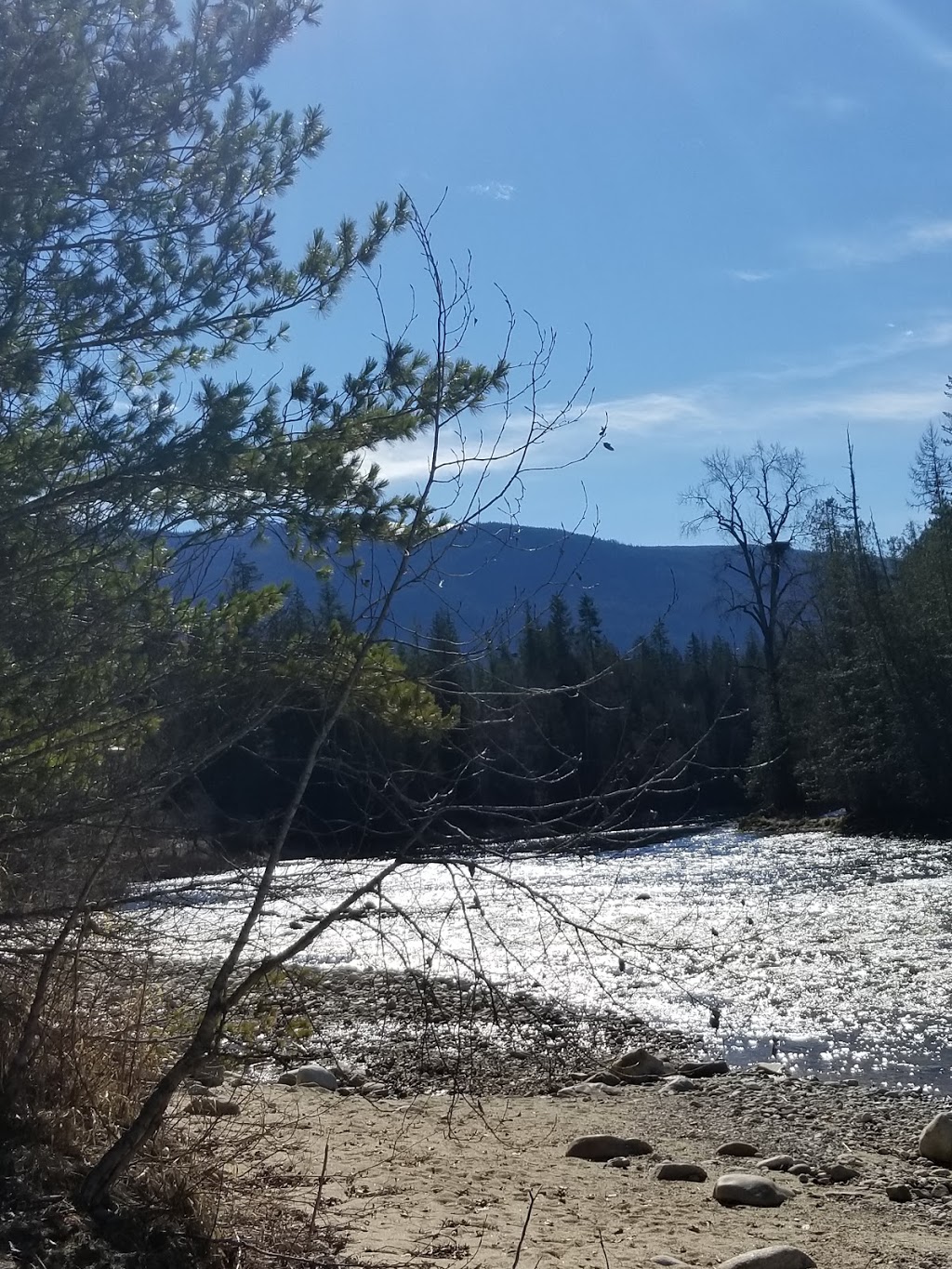 Kingfisher Community Society | 3337 Enderby Mabel Lake Rd, Enderby, BC V0E 1V5, Canada | Phone: (250) 838-6200
