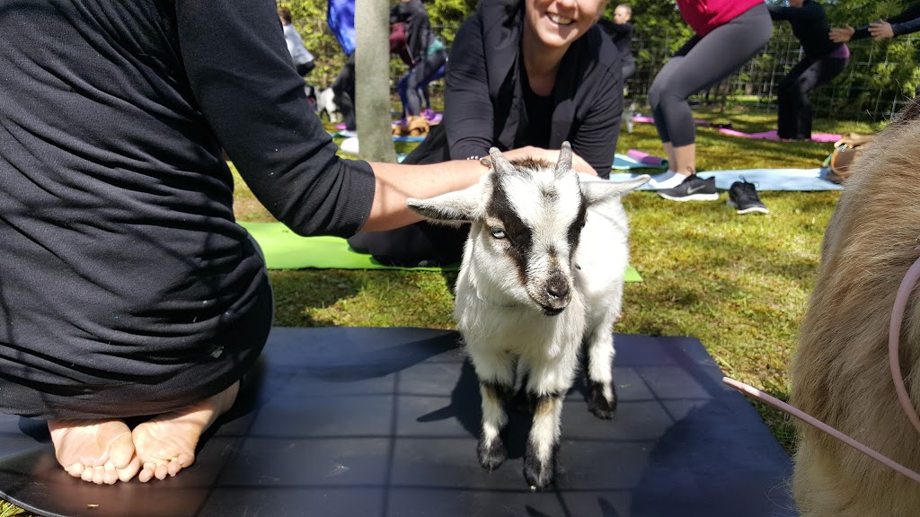 Grimsby Yoga & Wellness Studio | 442 Winston Rd, Grimsby, ON L3M 0H2, Canada | Phone: (289) 686-7475