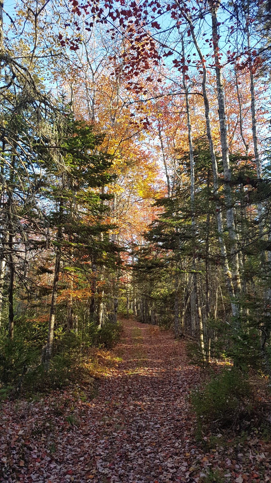 Uniacke Estate Museum Park | 758 Nova Scotia Trunk 1, Mount Uniacke, NS B0N 1Z0, Canada | Phone: (902) 866-0032