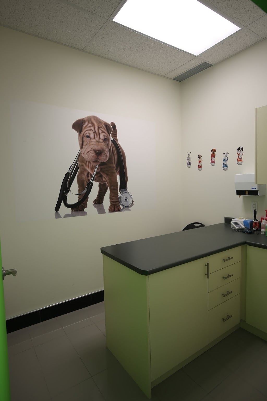 Major Mackenzie Animal Hospital | 3737 Major MacKenzie Dr W, Woodbridge, ON L4H 3C8, Canada | Phone: (647) 297-8141