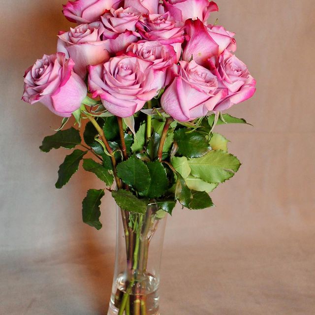 NOVA FLOWERS INC | 1212 34 Ave SE, Calgary, AB T2G 1V7, Canada | Phone: (403) 478-9112