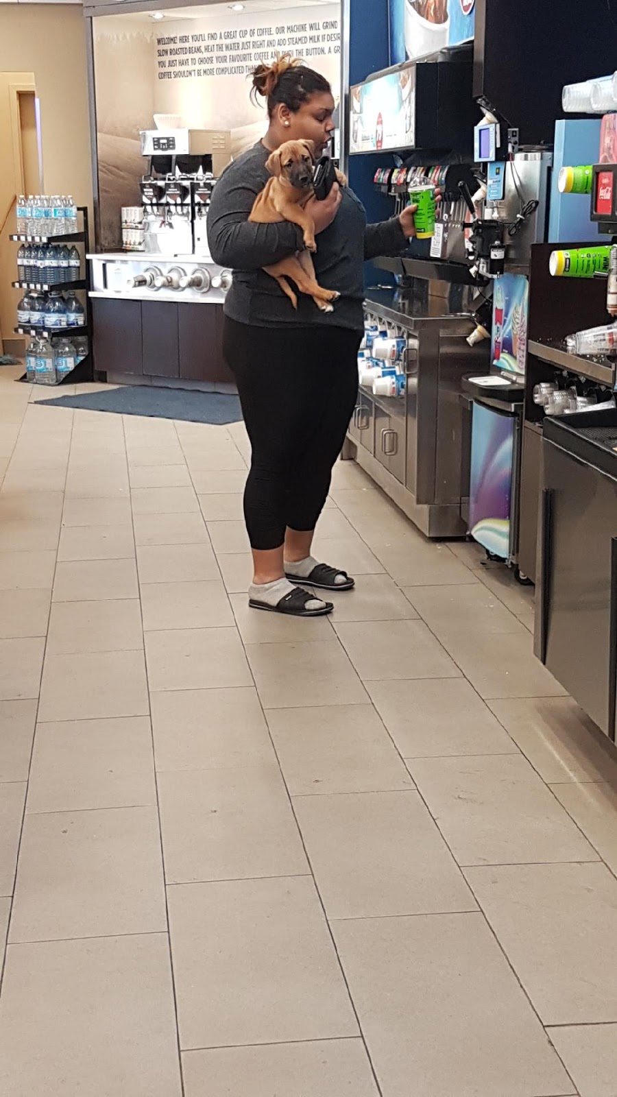 Macs | 2 Seacliff Dr W, Leamington, ON N8H 2L4, Canada | Phone: (519) 326-3664
