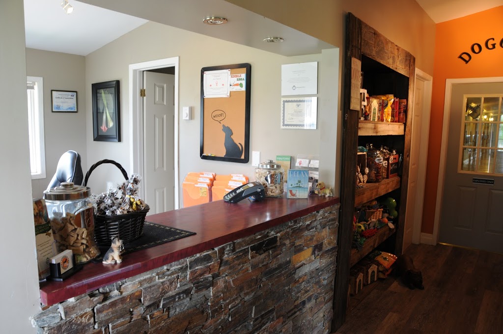 Sunnidale Boarding Kennels | 9343 County Rd 10, Angus, ON L0M 1B2, Canada | Phone: (705) 424-3483