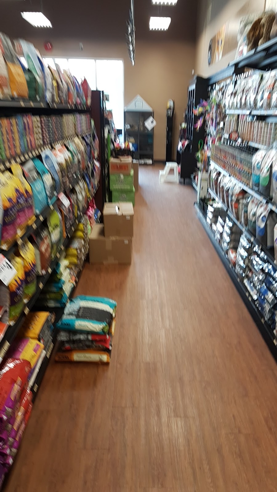 Pet Valu | 955 Main Street North, Winkler, MB R6W 4A8, Canada | Phone: (204) 325-0068