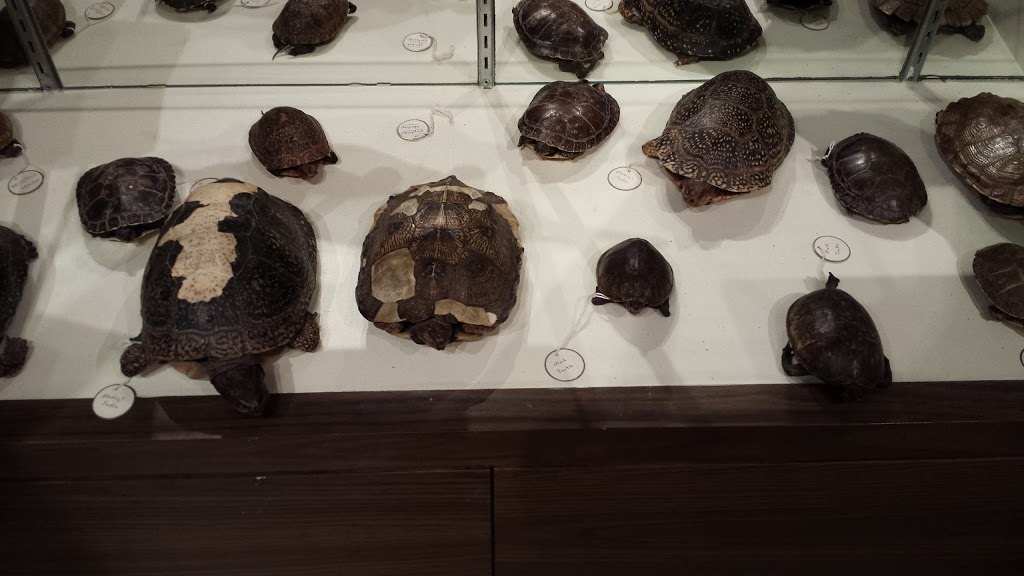 Dorset Museum | 1040 Main St, Dorset, ON P0A 1E0, Canada | Phone: (705) 766-0323