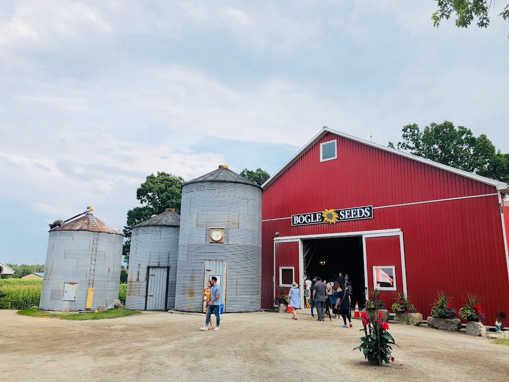 Bogle Seeds | 572 Safari Rd, Millgrove, ON L8B 1S7, Canada | Phone: (905) 689-4073