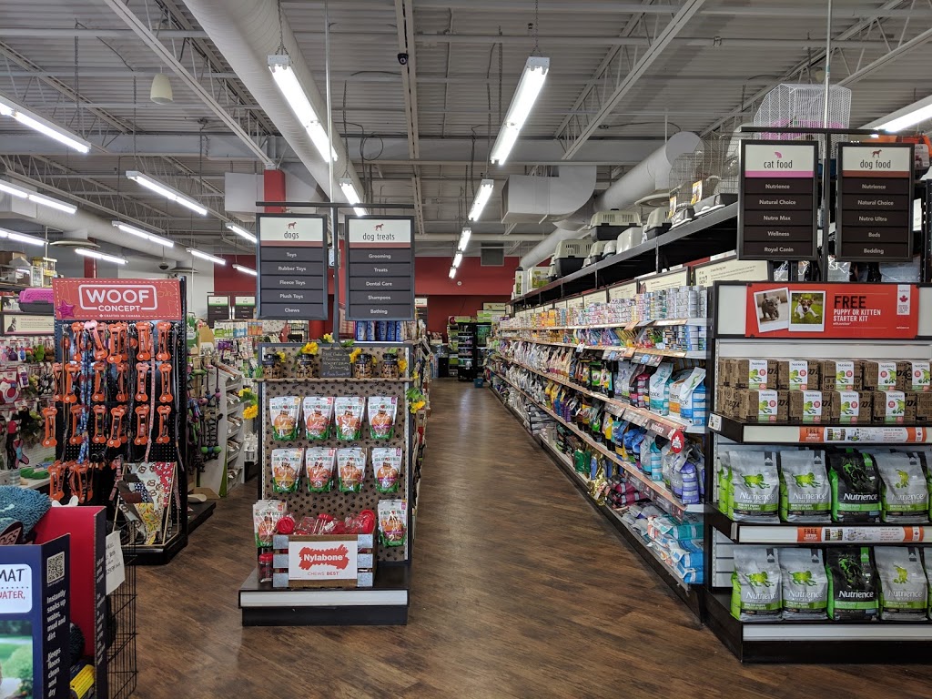 petculture | 492 Edinburgh Rd S, Guelph, ON N1G 4Z1, Canada | Phone: (519) 767-0901