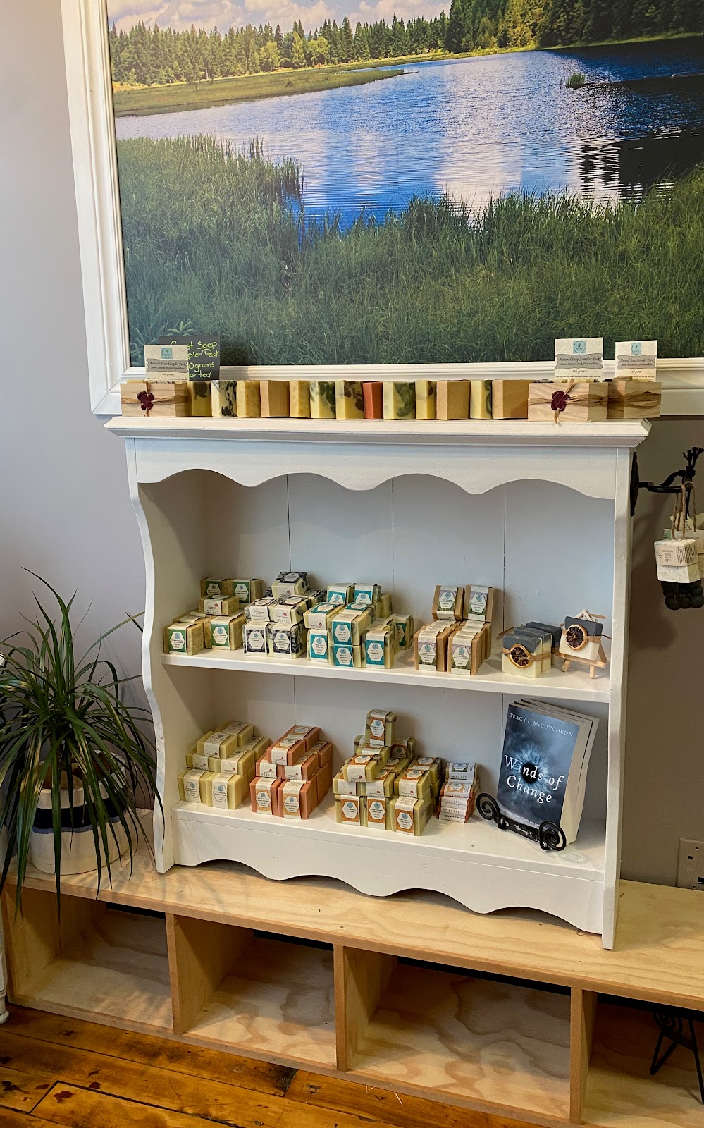 Natures Solution | 28b Queen St W, Elmvale, ON L0L 1P0, Canada | Phone: (705) 515-2723