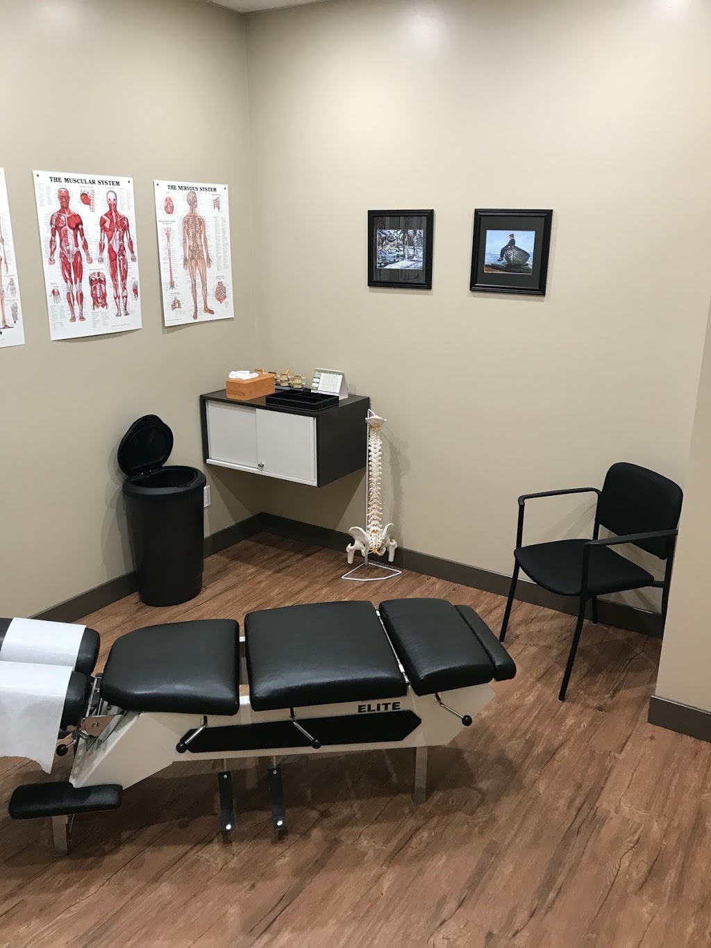 Braun Family Chiropractic | 220 Edward St S, Thunder Bay, ON P7E 2G8, Canada | Phone: (807) 622-3999