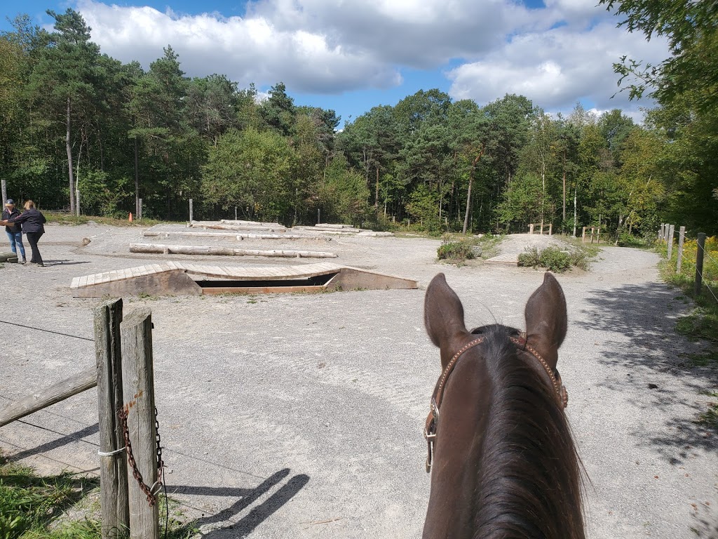 Oak Springs Farm | 1060 Sandy Hook Rd, Pontypool, ON L0A 1K0, Canada | Phone: (705) 344-9914