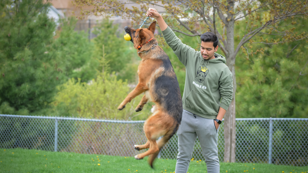 Noble K9 | 549 Trussler Rd, Kitchener, ON N2E 0C3, Canada | Phone: (226) 978-1090