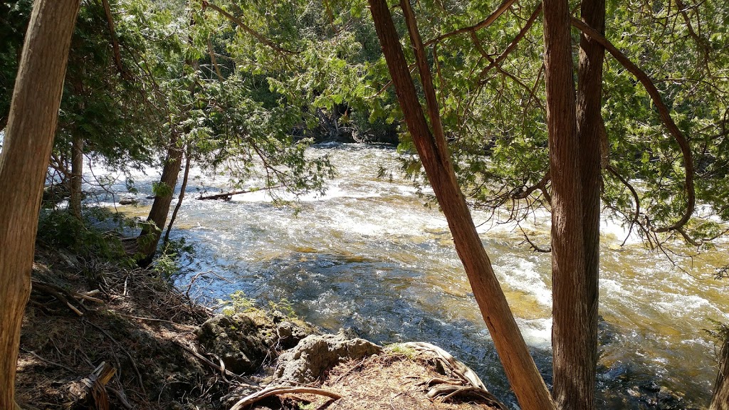Amazing Rocky Park Campground | 423059 Rocky Saugeen Rd, Durham, ON N0G 1R0, Canada | Phone: (519) 369-6450
