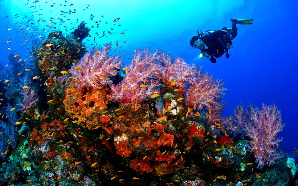Clear Water Scuba & Marine Salvage | 46 Densmore Crescent, Red Deer, AB T4R 2L6, Canada | Phone: (705) 746-9556