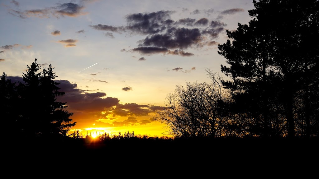 Selinger Park | 3366 Edinburgh Dr, Regina, SK S4V 2V2, Canada