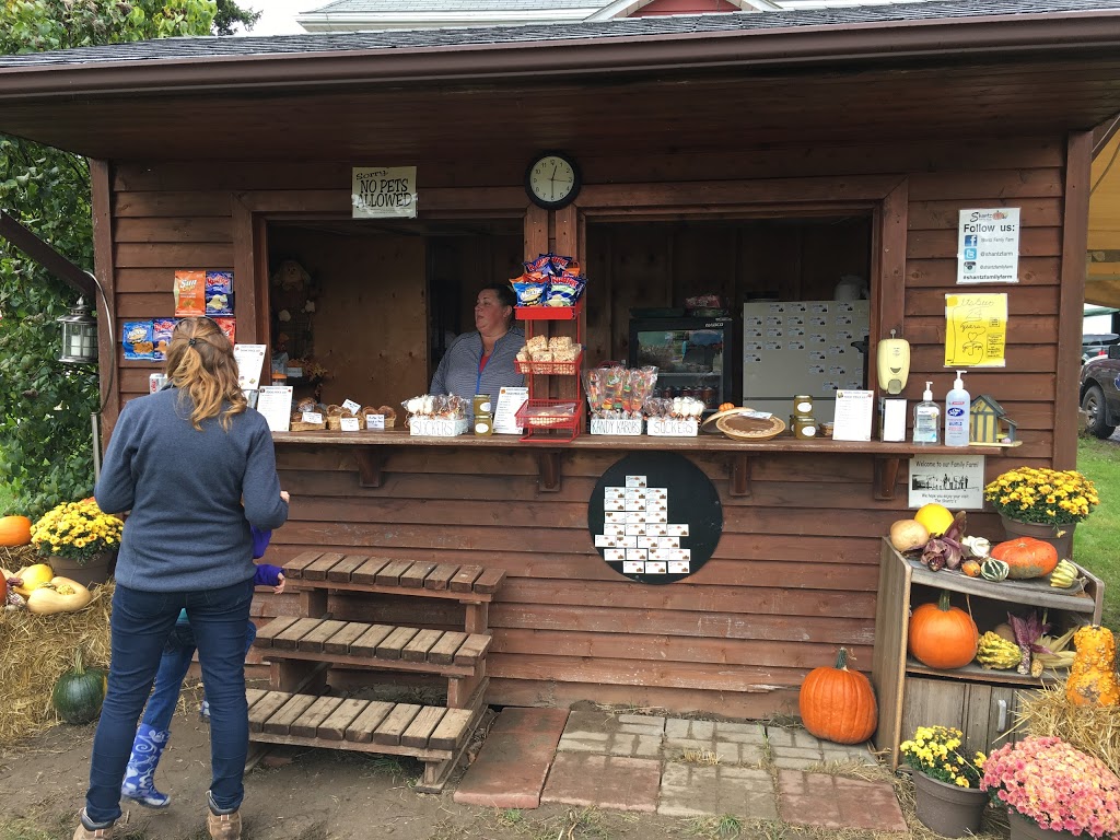 Shantz Family Farm - Closed for the Season | 1544 Bleams Rd, Petersburg, ON N0B 2H0, Canada | Phone: (519) 634-5252