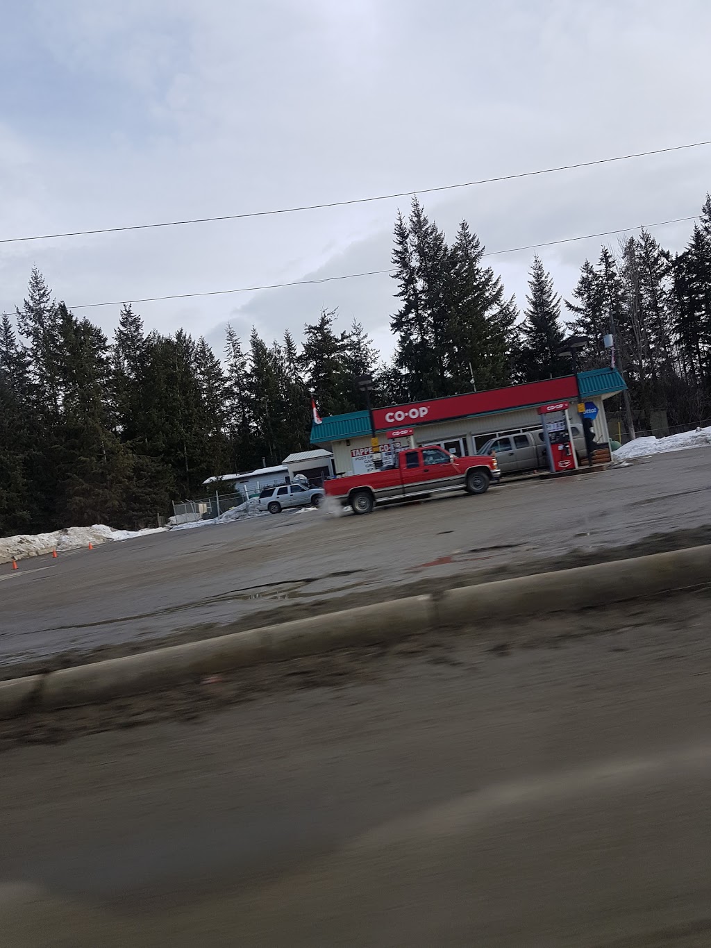 Co-op Gas Bar | 4828 Trans-Canada Hwy, Tappen, BC V0E 2X0, Canada | Phone: (250) 835-4513