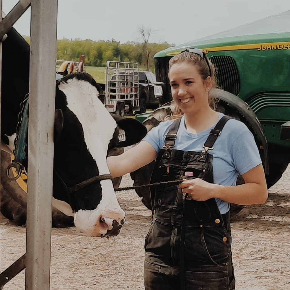 Kathleens Cattle | 53758 Willford Rd, Wellandport, ON L0R 2J0, Canada | Phone: (289) 931-3213