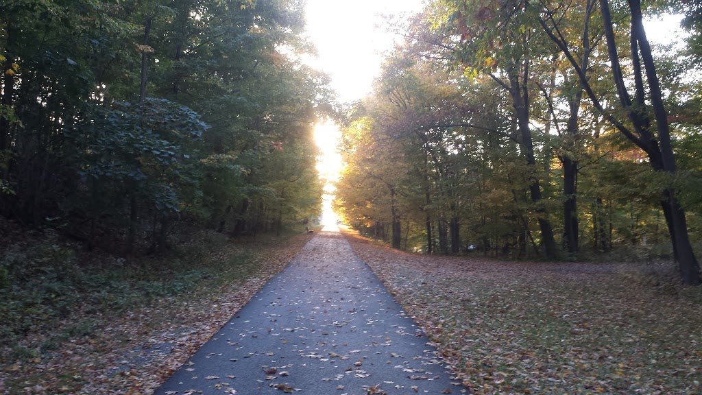Clarence Town Park | 10405 Main St, Clarence, NY 14031, USA | Phone: (716) 741-8927