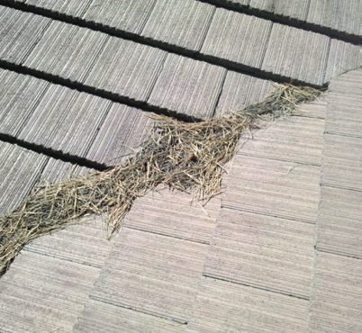 Marley Roof Repair | #1 in Ontario | 579 Tomahawk Crescent, Hamilton, ON L9G 3T4, Canada | Phone: (905) 536-4412