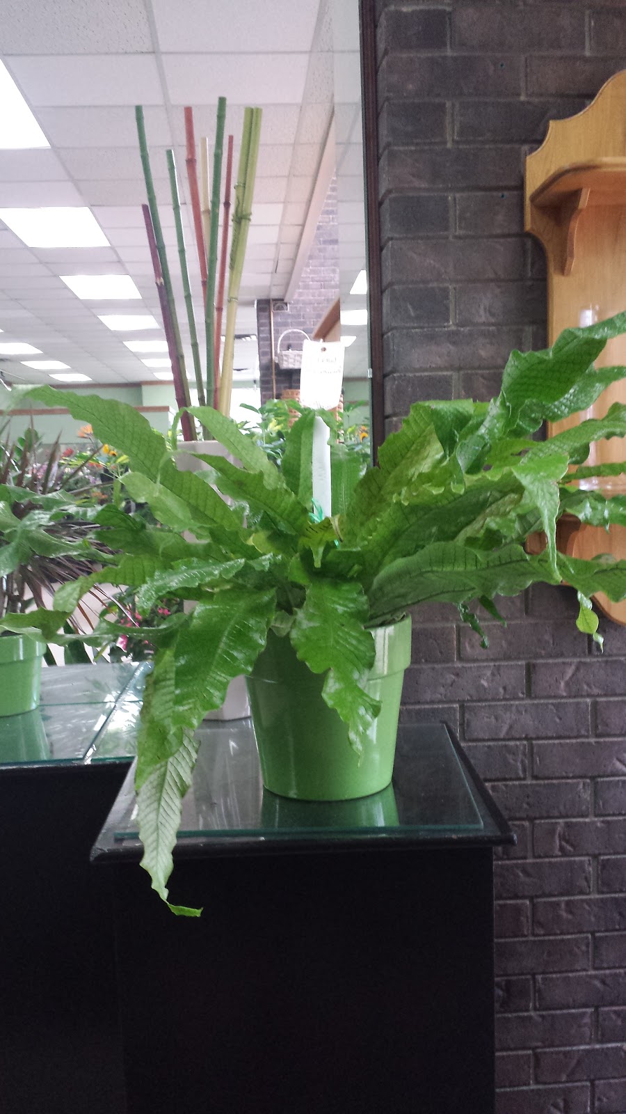 Langdons Flowers Ltd | 1400 Bank St, Ottawa, ON K1H 7Y9, Canada | Phone: (613) 521-4440