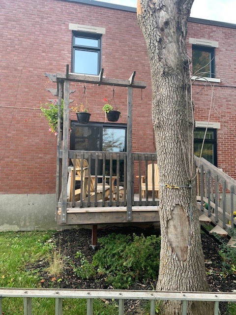 Oligny Vitrerie Inc | 4415 Mnt Saint-Hubert, Saint-Hubert, QC J3Y 1V3, Canada | Phone: (450) 462-2633