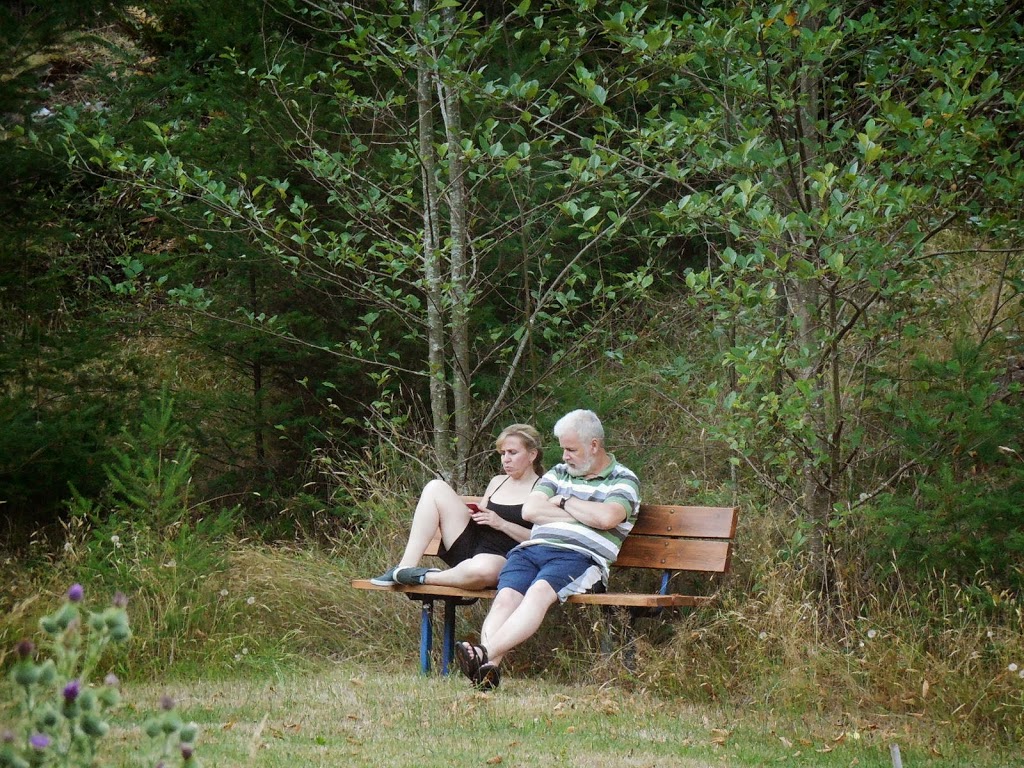 Timberline RV Park | 16451 Timberline Rd, Egmont, BC V0N 1N0, Canada | Phone: (604) 883-1133