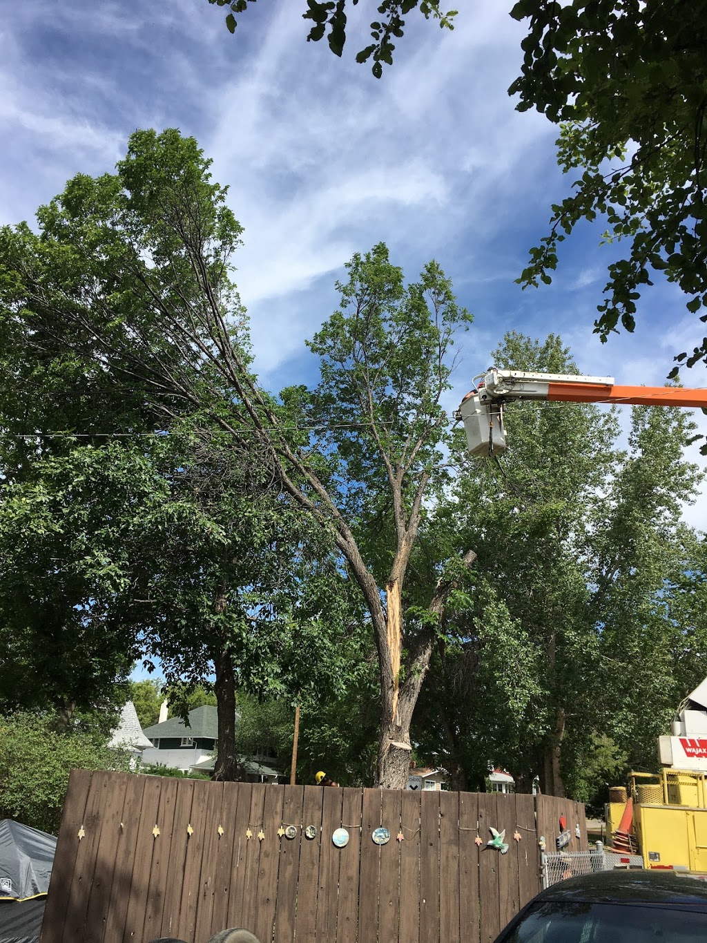 A-1 Tree Service | 1009 Carleton St, Moose Jaw, SK S6H 3A3, Canada | Phone: (306) 692-6701