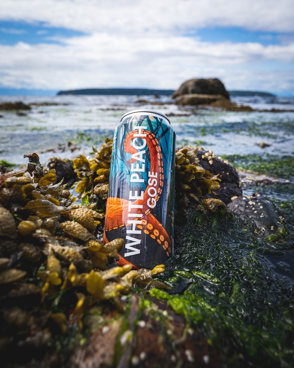 Townsite Brewing Inc. | 5824 Ash Ave, Powell River, BC V8A 4R4, Canada | Phone: (604) 483-2111