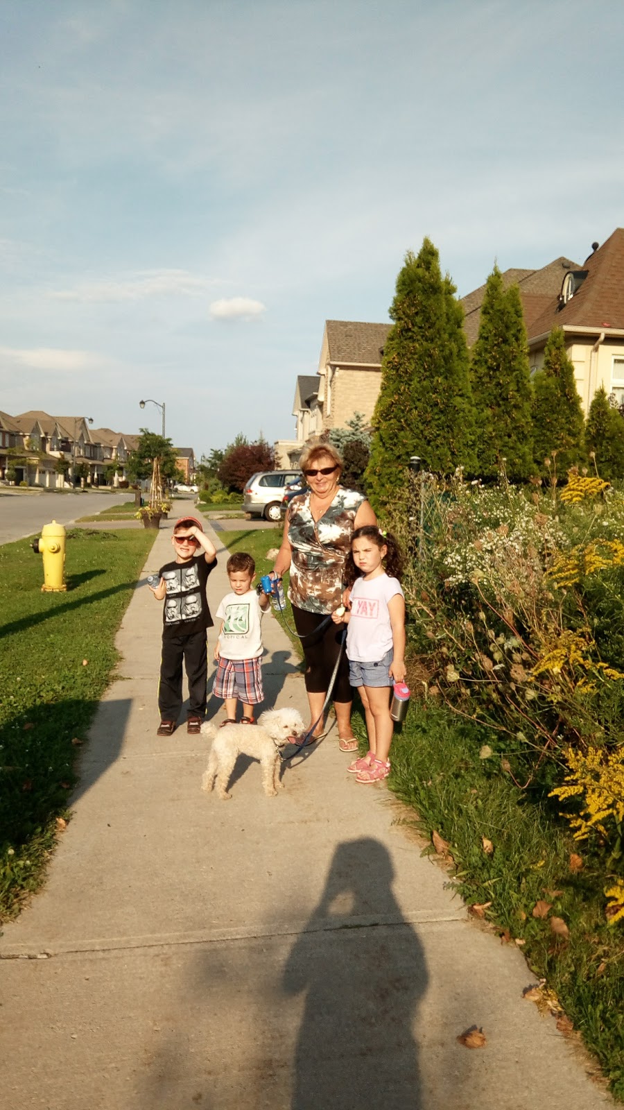 Woodvalley Park | 1 Marc Santi Blvd, Maple, ON L6A 0K2, Canada