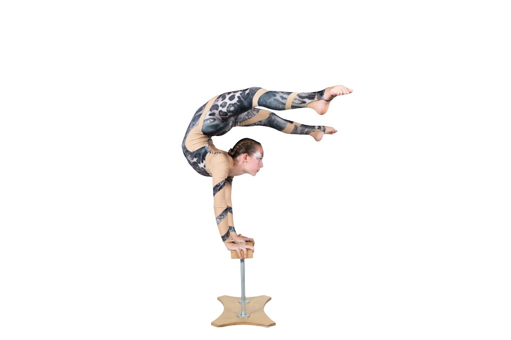 The Academy - Circus | GYM, 1490 Richmond St, London, ON N6G 2M3, Canada | Phone: (226) 222-8654