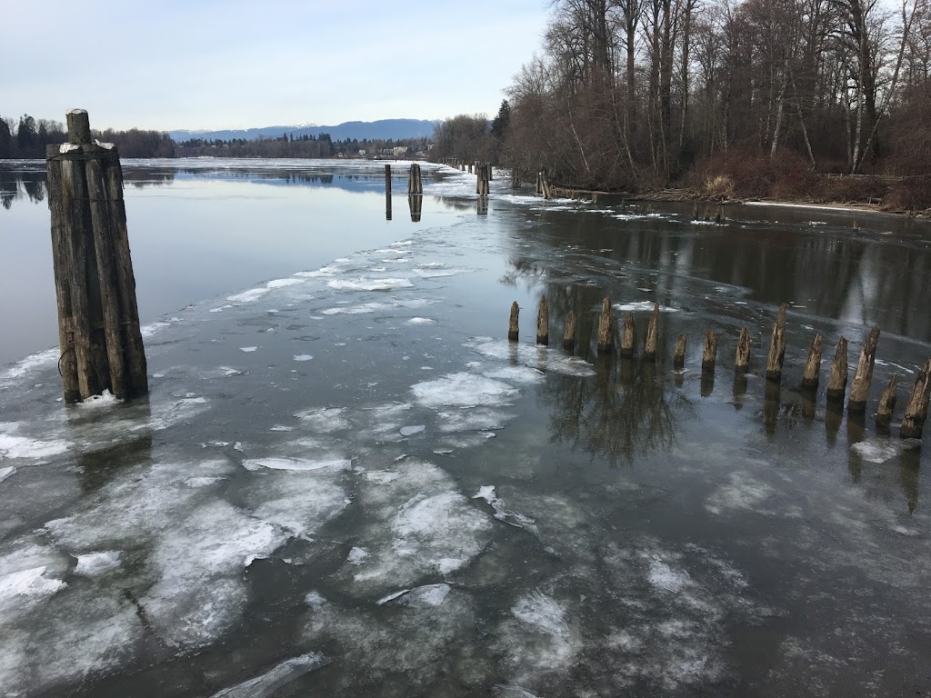 Kanaka Creek River Front | Unnamed Road, Maple Ridge, BC V2W 1B6, Canada