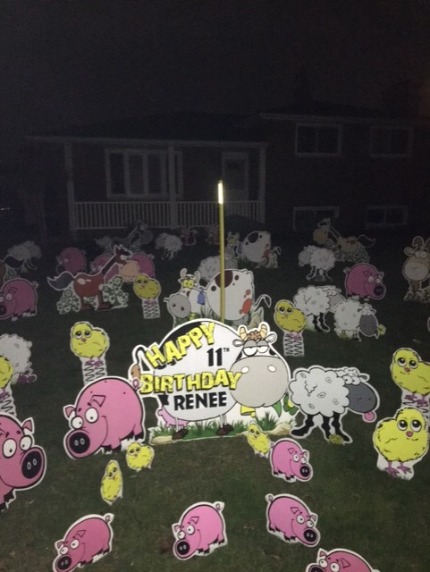 Lawn Ninjas | 1333 Springbank Dr, Sarnia, ON N7S 5H5, Canada | Phone: (519) 336-2886