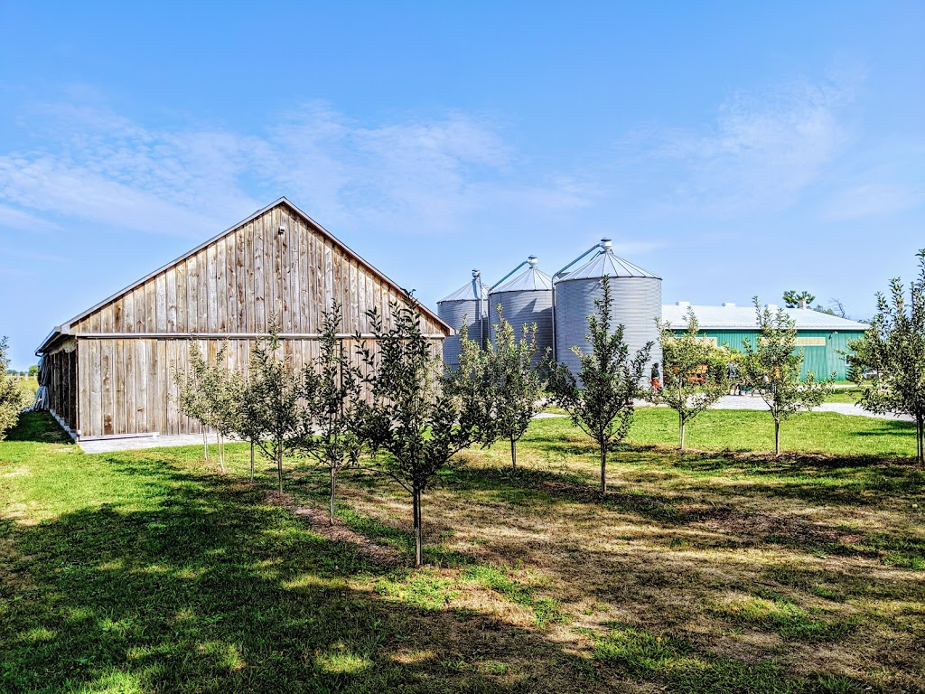 Brantview Apples And Cider | 225 Howell Rd, Saint George, ON N0E 1N0, Canada | Phone: (519) 448-1323