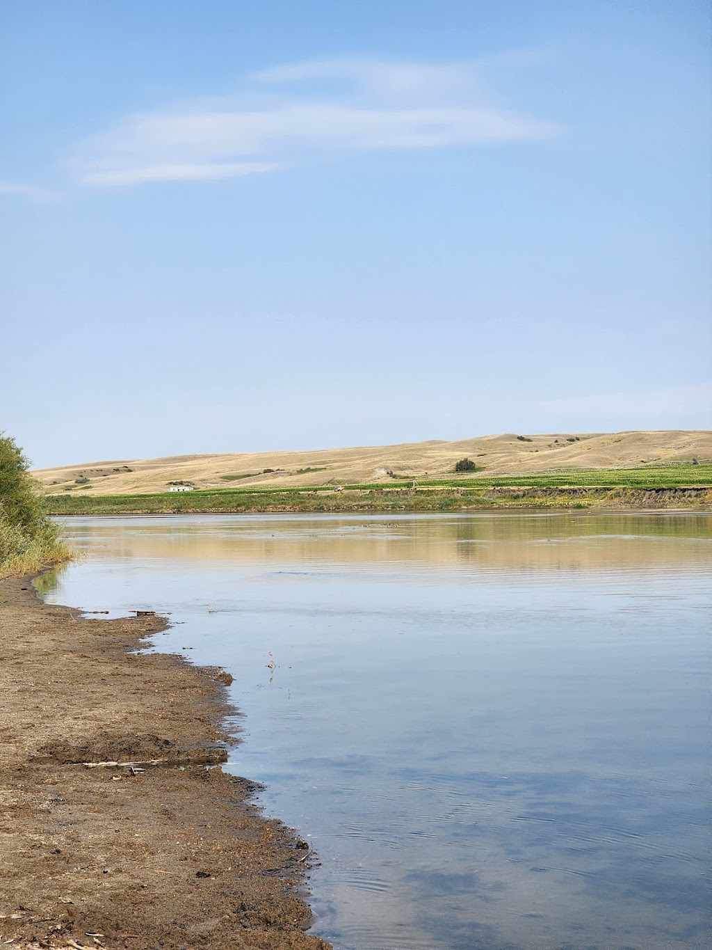 Emerson Bridge Park Campground | Newell County No. 4, AB T1R 1B2, Canada | Phone: (403) 362-1702