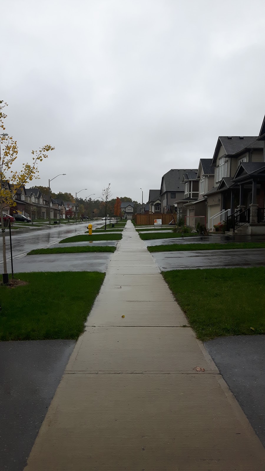 Freure Homes | 386 Salisbury Ave, Cambridge, ON N1S 0A2, Canada | Phone: (519) 578-7771
