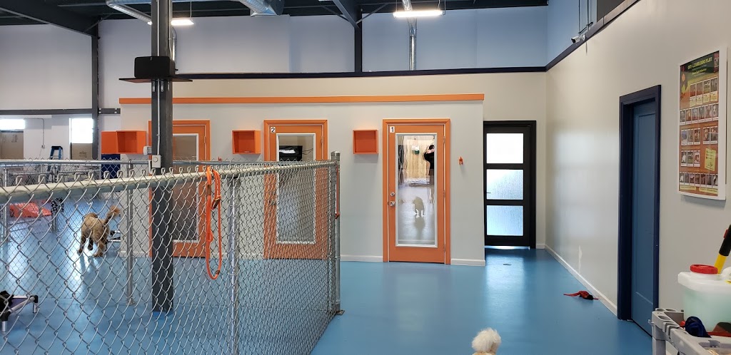 HoundAway Daycare and Boarding | 445 Hardy Rd Unit 4, Brantford, ON N3T 5L8, Canada | Phone: (519) 750-0770